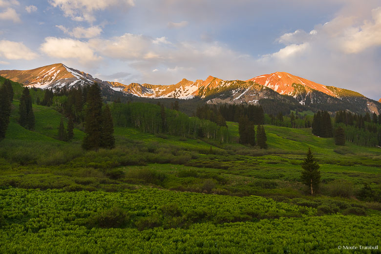 Avery Peak glows in sunset light beyond fields of corn lilies outside of Gothic, Colorado.