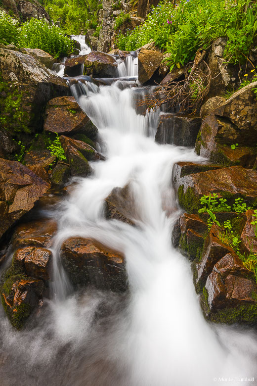 Columbus Creek tumbles through a canyon filled with wildflowers in La Plata River Canyon in southwestern Colorado.