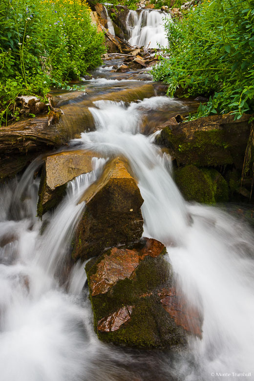 Columbus Creek scrambles over logs and rocks on it's way down the mountainside to the La Plata River outside of Durango, Colorado.