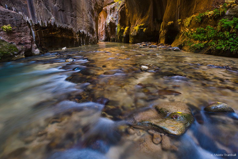 Sunlight shines from around the corner and is reflected in the river in the Virgin Narrows of Zion National Park in Utah.