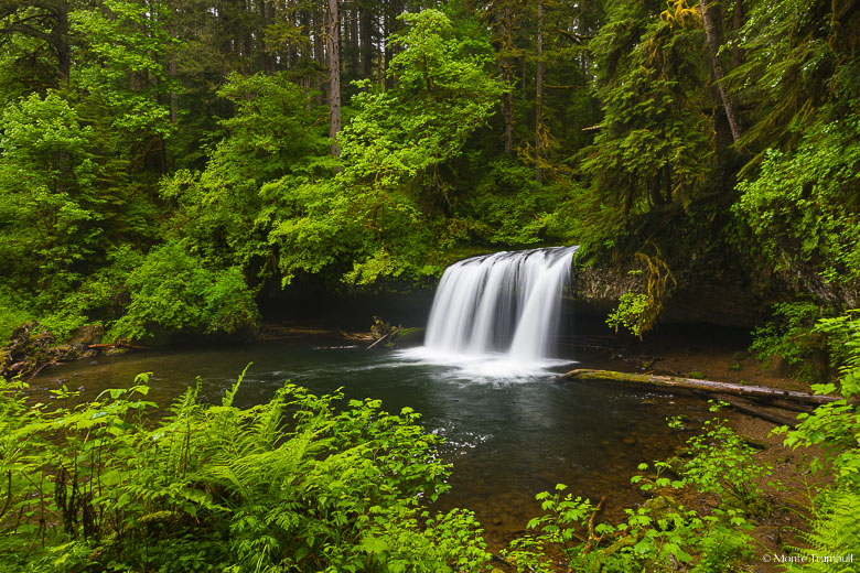 Upper Butte Creek Falls drops gracefully over a wide undercut ledge into a large pool surrounded with greenery in the Santiam State Forest in northwest Oregon.