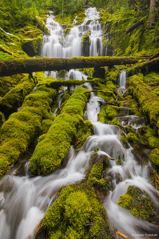 Upper Proxy Falls cascades over a rocky ledge and twists and turns its way through a jumble of vibrant green moss-covered rocks and logs in the Willamette National Forest outside of Sisters, Oregon.