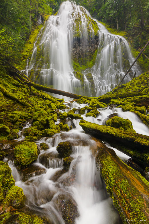 Proxy Falls spreads out and drops in curtains over two hundred feet before tumbling through moss covered logs and rocks in the  Willamette National Forest in Oregon.
