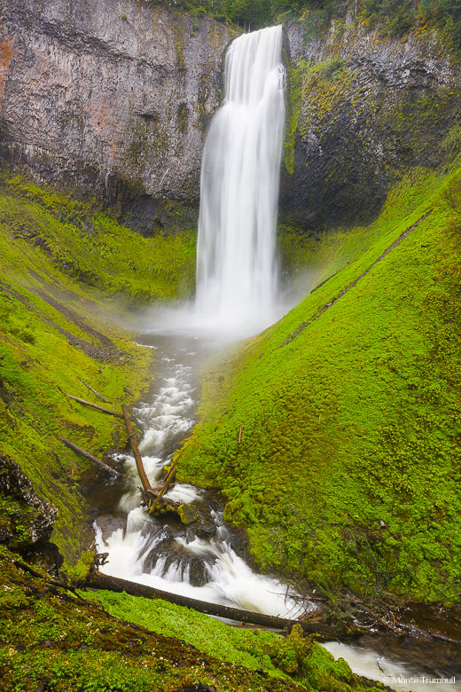 Salt Creek Falls plunges 286 feet over a massive basalt wall and into a lush valley lined with vibrant grass in the Willamette National Forest in Oregon.