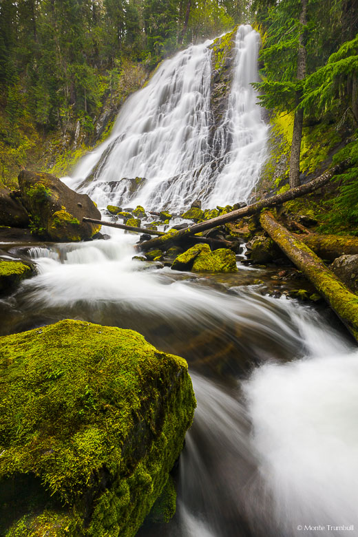 Diamond Creek Falls tumble over 100 feet down a broad, jagged basalt rock wall where Diamond Creek then turns sharply and continues around mossy rocks in the Willamette National Forest in central Oregon.