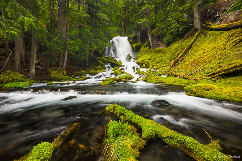 The Rogue River emerges from dense woods and flows over Rough Rider Falls before fanning out in a mossy glen in the Rogue River National Forest in southern Oregon.