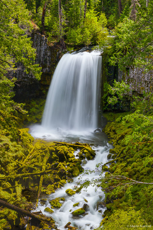 Warm Springs Falls plummets over fifty feet into a vibrant green mossy amphitheater in the Umpqua National Forest in Oregon.