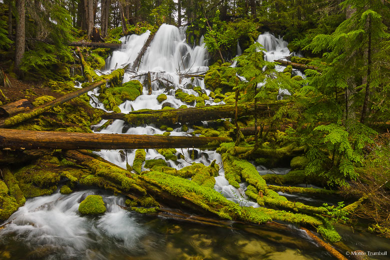 Clearwater Falls cascades down through a jumble of moss covered rocks and fallen logs in the Umpqua National Forest in southern Oregon.