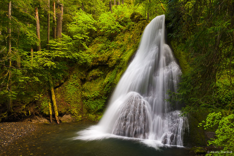 The Little River drops delicately over Yakso Falls into a deep pool surrounded by vibrant spring greenery in the Umpqua National Forest in Oregon.