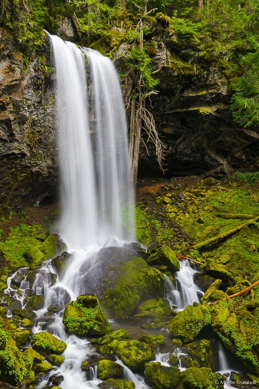 Grotto Falls splits in two and plunges over a deeply undercut cliff into a mossy gorge in the Umpqua National Forest in south central Oregon.