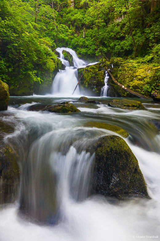 Sweet Creek emerges from behind vibrant green foliage and flows over Sweet Creek Falls on its rocky journey downstream outside of Mapleton, Oregon.