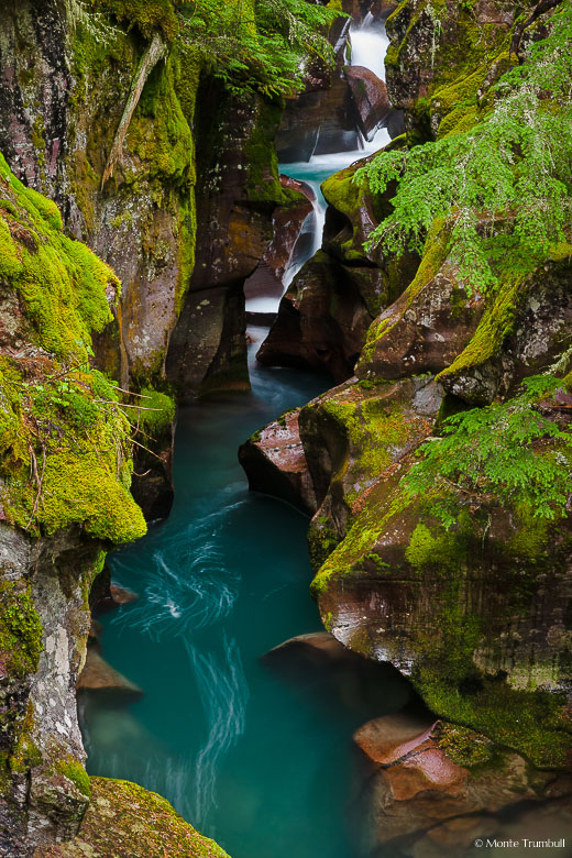 The aqua-colored water of Avalanche Creek twists its way through a red rock crevice covered in moss and ferns in Glacier National Park in Montana.