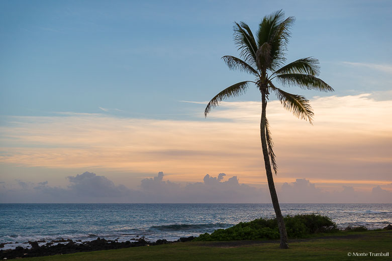 A lone palm tree is silhouetted against an orange sunset sky at the Poipu Beach Park in southern Kauai, Hawaii.