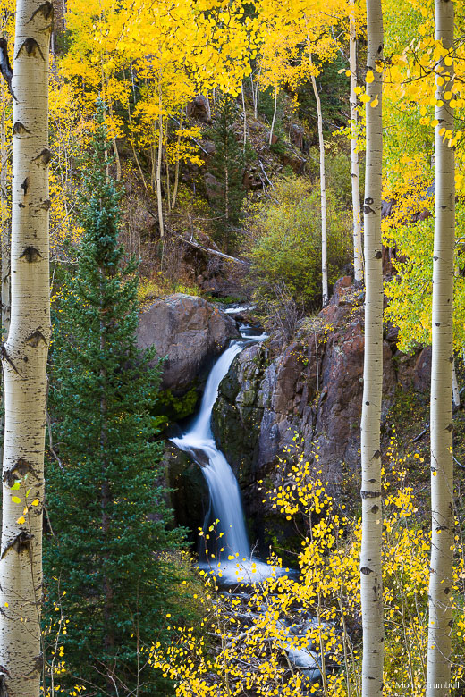 Graceful Nellie Creek Falls is framed by golden aspen trees in the Uncompahgre National Forest outside of Lake City in southern Colorado.