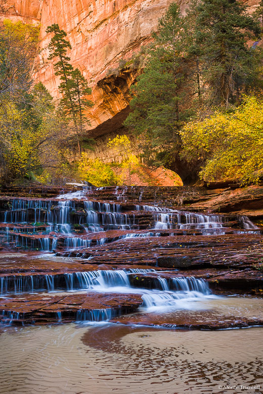 Left Fork Creek cascades down the red rock steps of Archangel Falls in a canyon punctuated by golden fall color in Zion National Park, Utah.