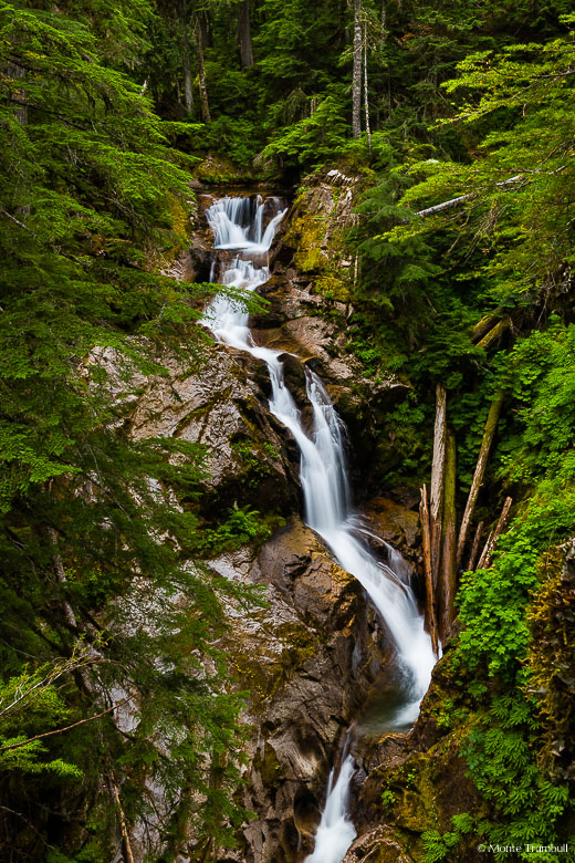 Deer Creek rounds a bend in the dense forest and twists and turns its way over Deer Creek Falls as it plunges into a canyon in Mount Rainier National Park in Washington.