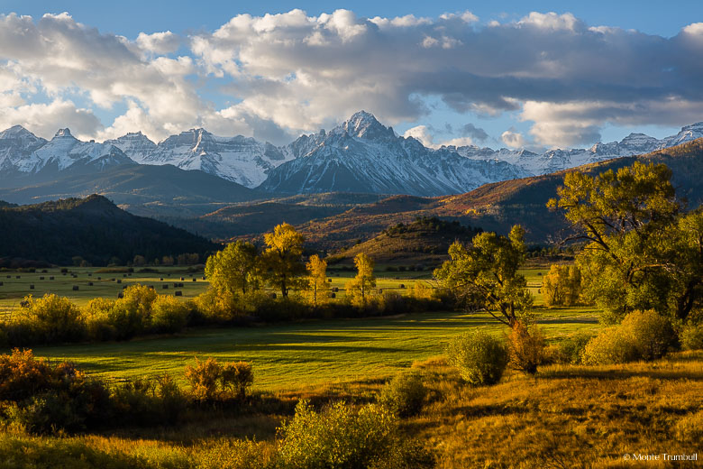 A glorious fall scene with early morning sunlight shining on the golden fields of the Double RL Ranch with the snow-covered Mount Sneffels looming in the distance outside of Ridgway, in southwestern Colorado.