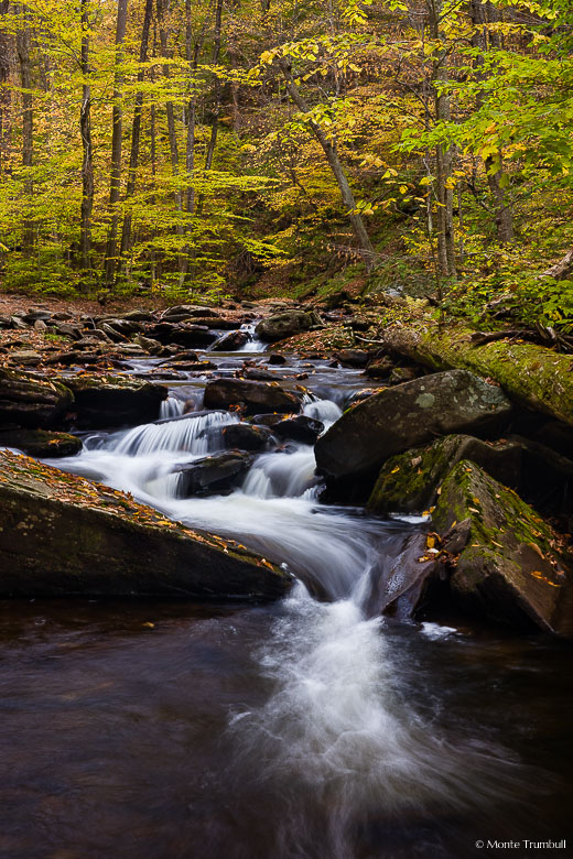 Kitchen Creek twists and turns around boulders as it flows through a golden forest in Ricketts Glen State Park in northeastern Pennsylvania.