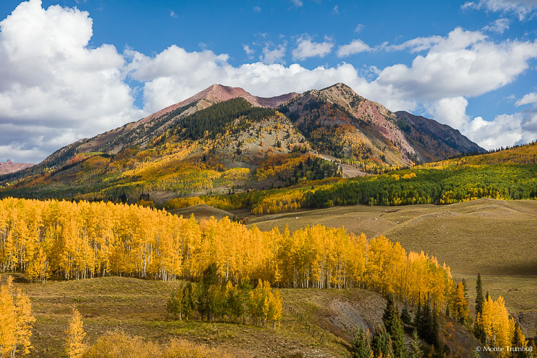 Golden aspen trees line a ridge with Avery Peak looming in the distance outside of Gothic, Colorado.