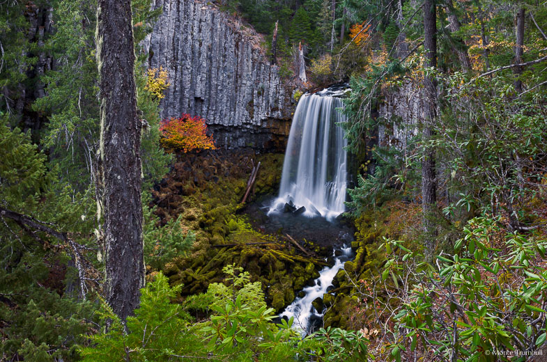 Warm Springs Falls drops over a sheer basalt wall into a lush, mossy valley in a forest sprinkled with autumn color in the Umpqua National Forest in southern Oregon.