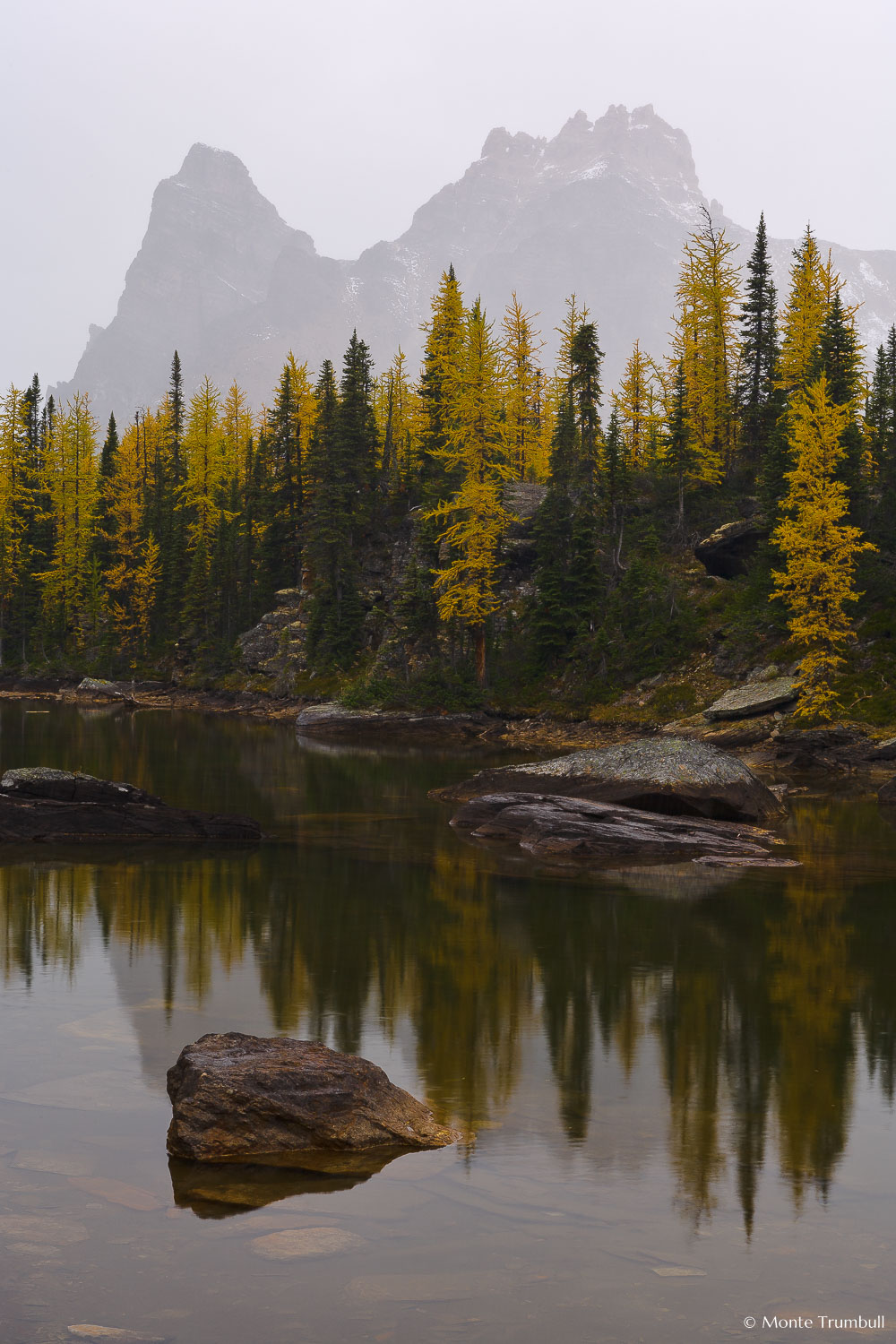 MT-20060920-145541-0080-Canada-Yoho-National-Park-Opabin-Plateau-fall-color-fog-pond-reflection.jpg