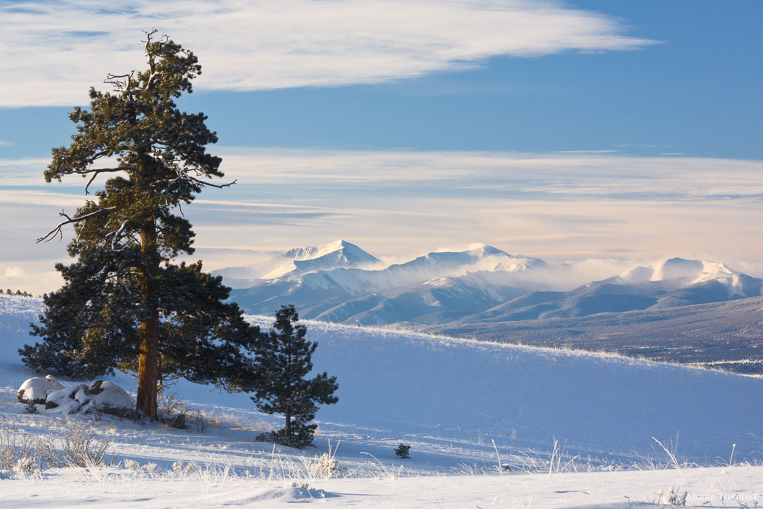 MT-20070201-080540-0002-Colorado-Rocky-Mountains-snow-pine-tree.jpg
