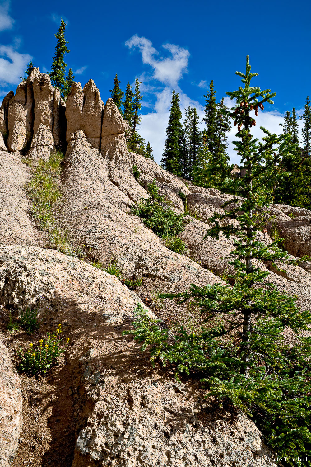 MT-20070727-091428-0025-Edit-Colorado-Wheeler-Geological-Area-rocks-pine-trees.jpg