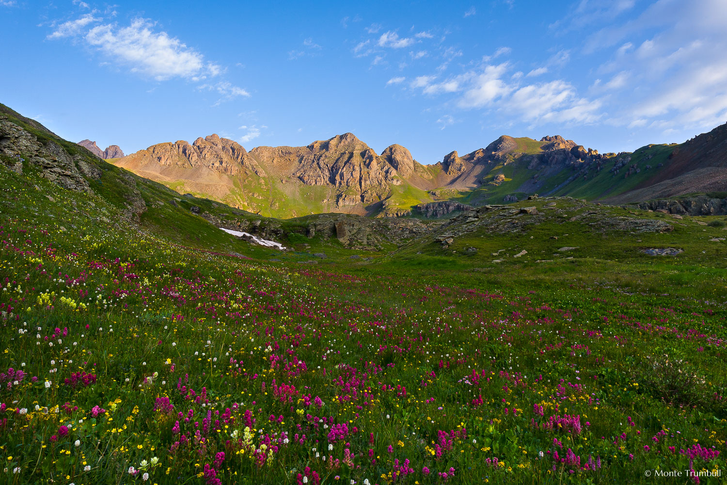 MT-20070801-070147-0020-Edit-Colorado-Silverton-Clear-Lake-alpine-flowers-sunrise-mountains.jpg