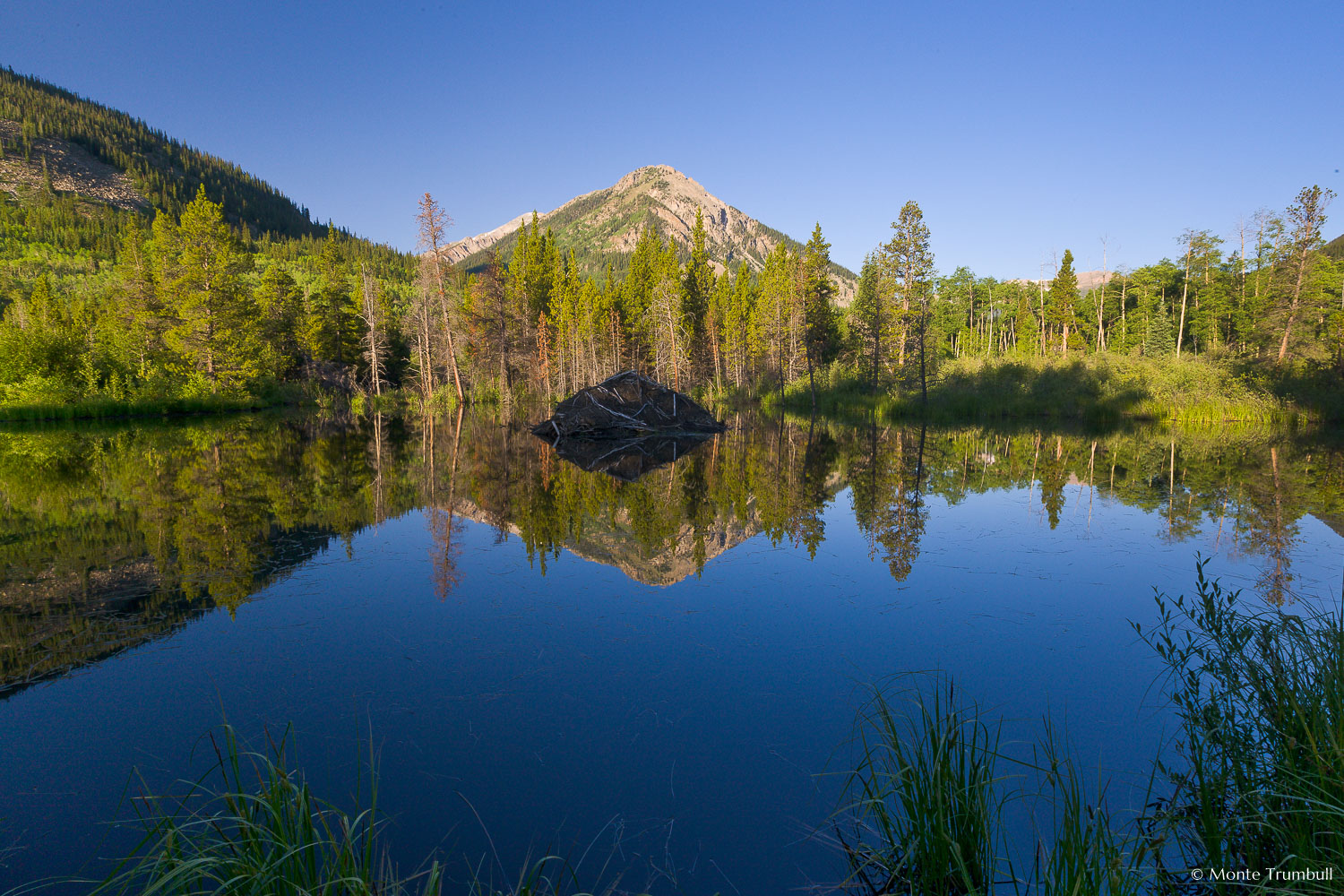 MT-20080716-065950-0011-Colorado-Clear-Creek-Canyon-beaver-pond-reflection-sunrise.jpg