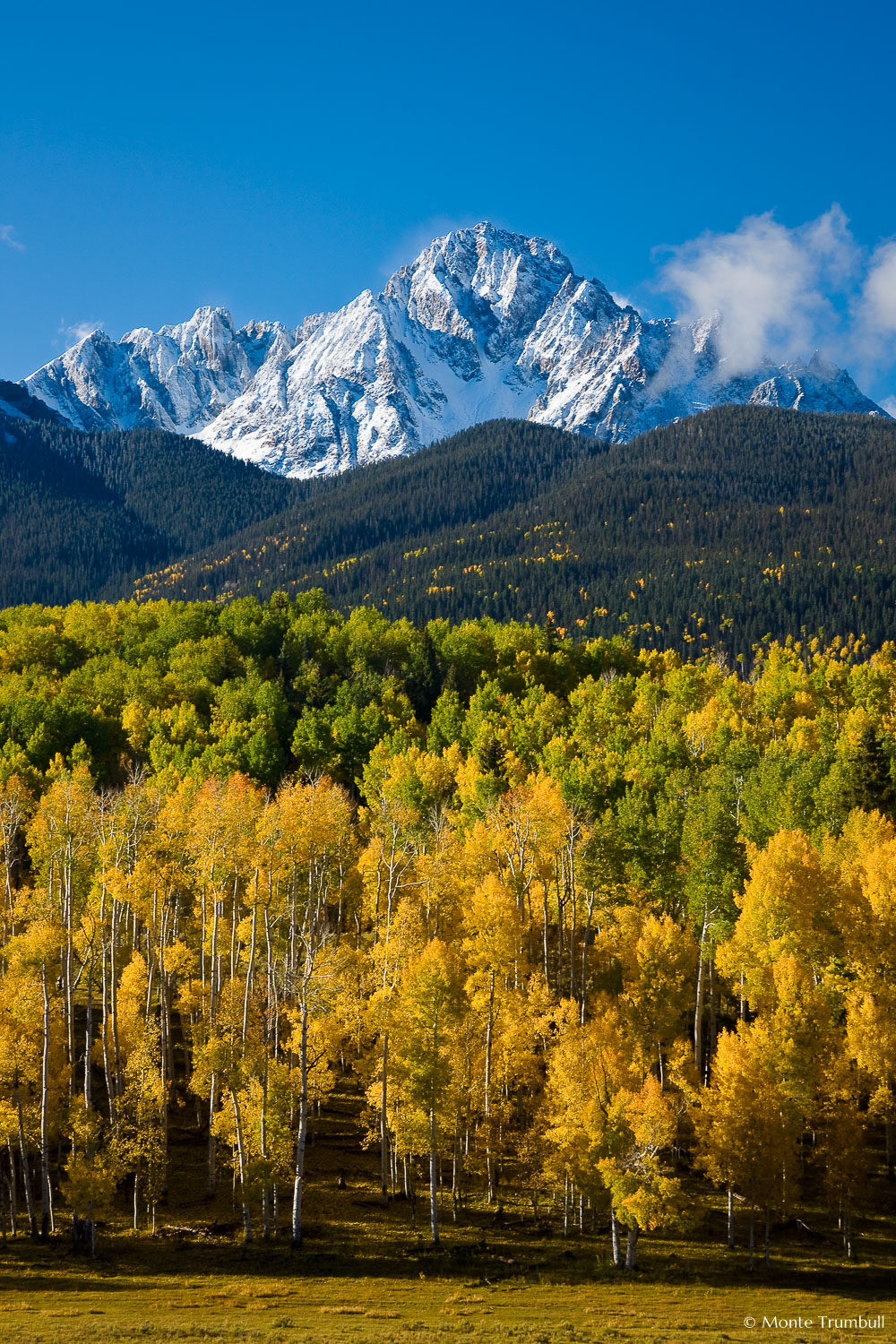 MT-20081006-091138-0093-Edit-Colorado-Ridgway-Mount-Sneffels-San-Juan-Mountains-fall-colors-snow.jpg