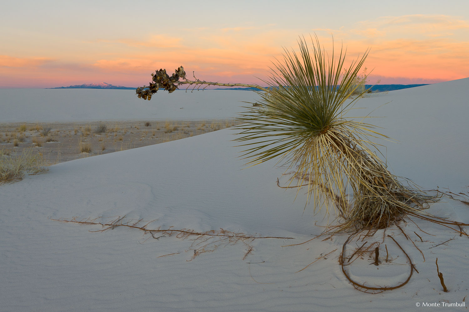 MT-20090107-171519-0011-New-Mexico-White-Sands-National-Monument-yucca-sunset-mountains.jpg