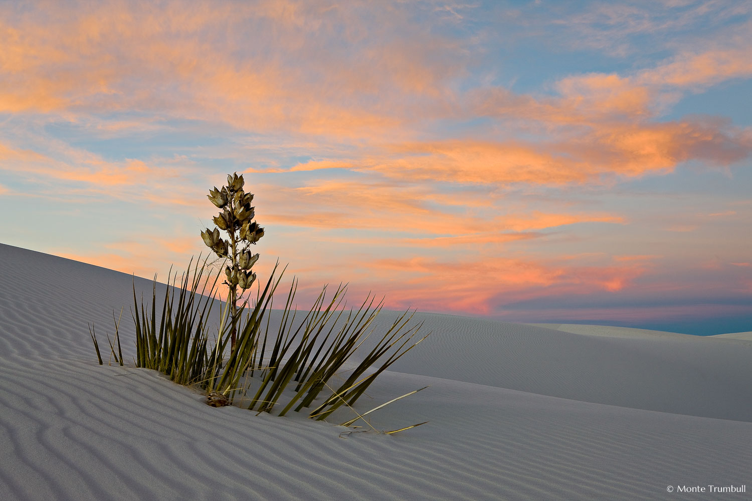 MT-20090107-172100-0013-Edit-New-Mexico-White-Sands-National-Monument-yucca-sunset-pastel-skies.jpg