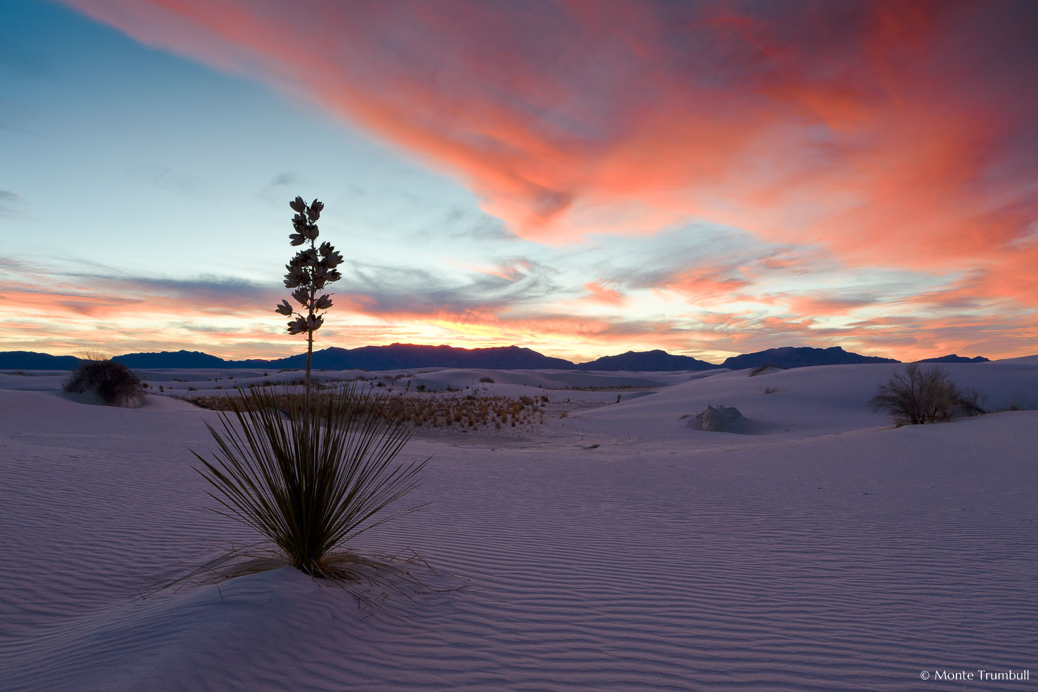 MT-20090108-172718-0036-New-Mexico-White-Sands-National-Monument-yucca-sunset-pink-skies.jpg