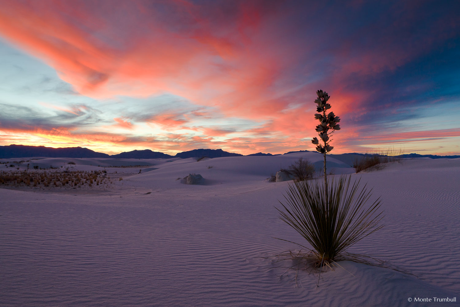 MT-20090108-172756-0037-New-Mexico-White-Sands-National-Monument-yucca-sunset-pink-skies.jpg