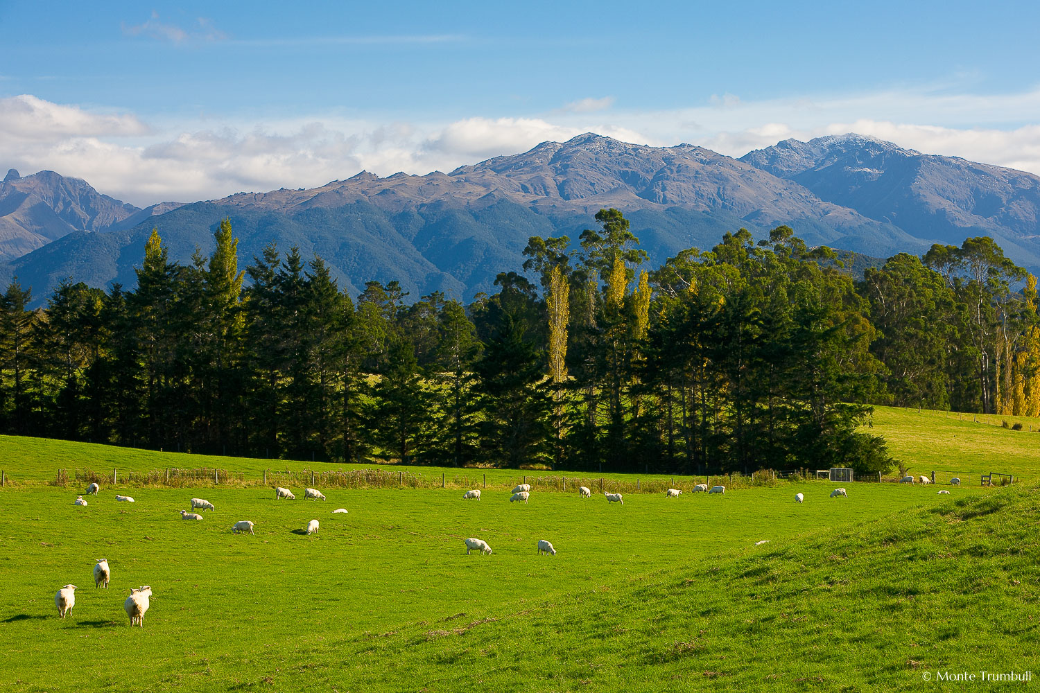 MT-20090414-103750-0054-New-Zealand-South-Island-sheep-mountain-valley.jpg
