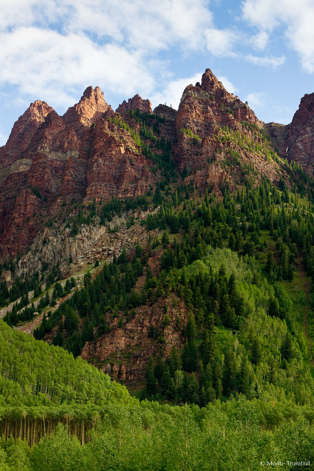 MT-20090726-074543-0006-Colorado-Aspen-Maroon-Bells-Sievers-Mountain-summer.jpg