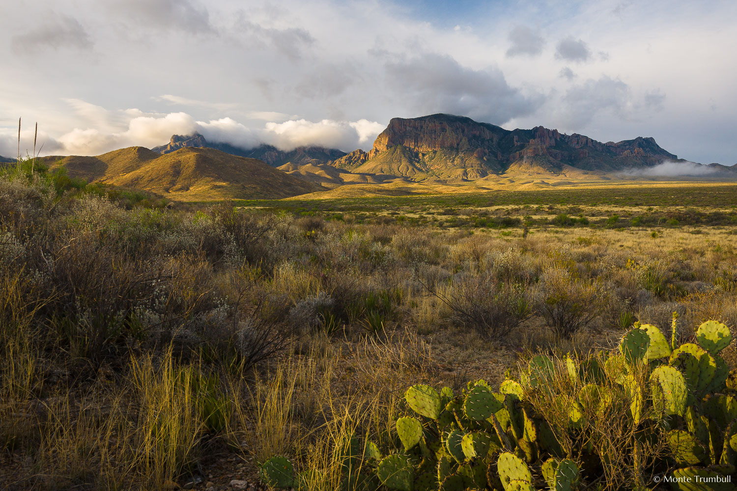 MT-20100414-081623-0037-Texas-Big-Bend-National-Park-Chisos-Mountains-sunrise.jpg