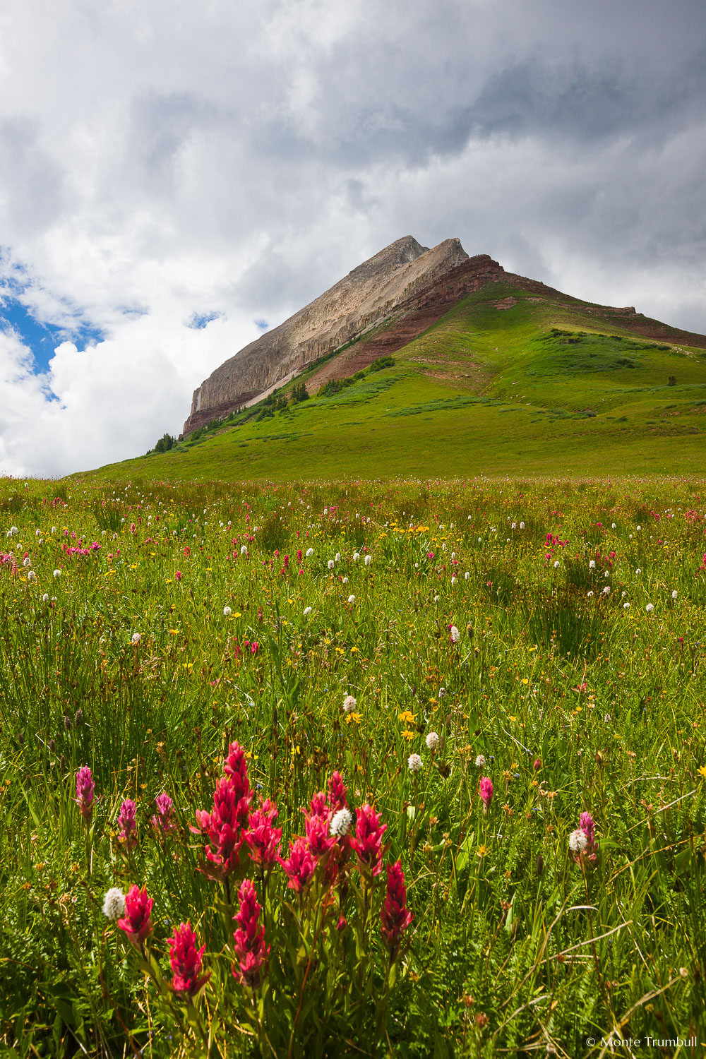 MT-20100725-130424-0023-Colorado-Engineer-Mountain-wildflowers-storm.jpg