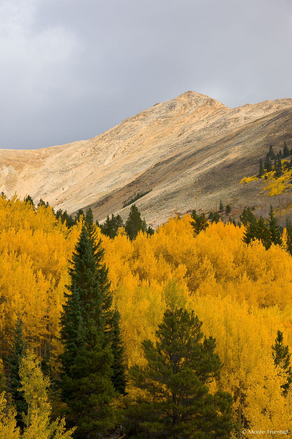 MT-20111002-120532-0041-Colorado-Irvin-Peak-fall-color.jpg