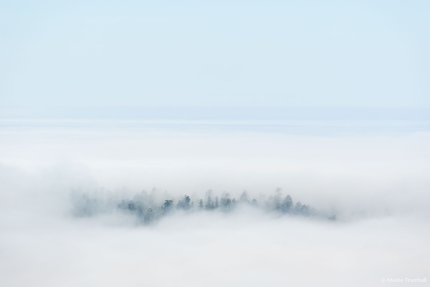 MT-20130606-085535-0008-Redwoods-National-Park-California-fog-trees.jpg