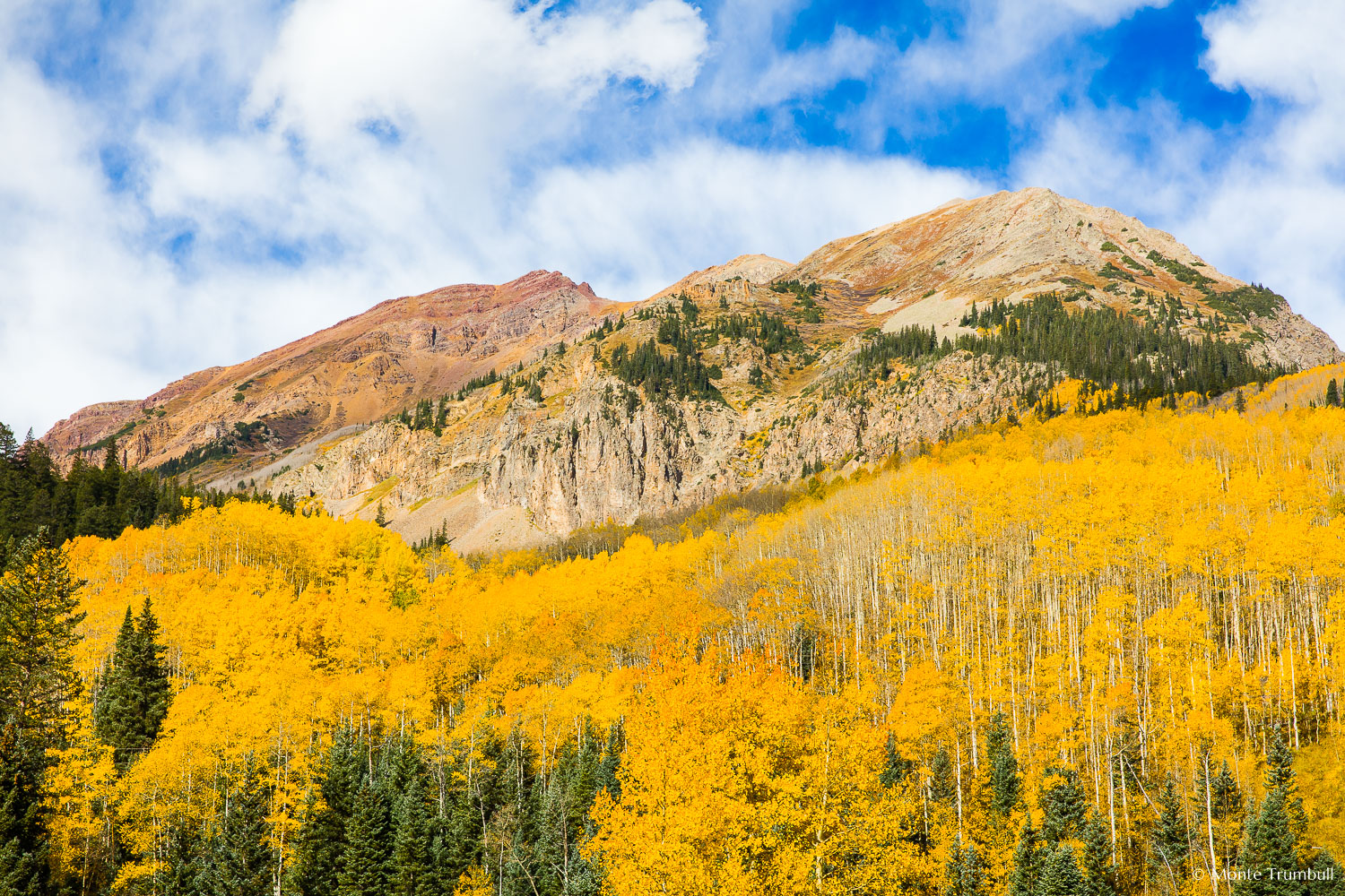 MT-20151002-104120-0018-Colorado-golden-aspen-Leahy-Peak-autumn.jpg