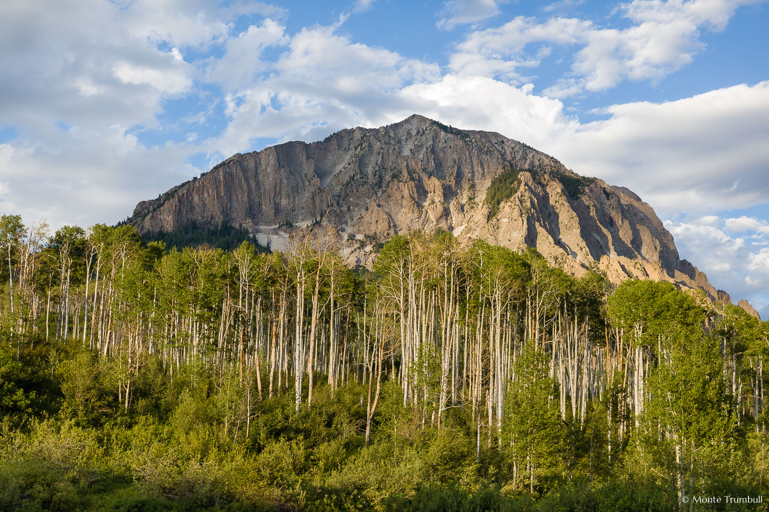 MT-20170620-194131-0006-Marcellina-Mountain-Aspen-Spring-Crested-Butte-Colorado.jpg