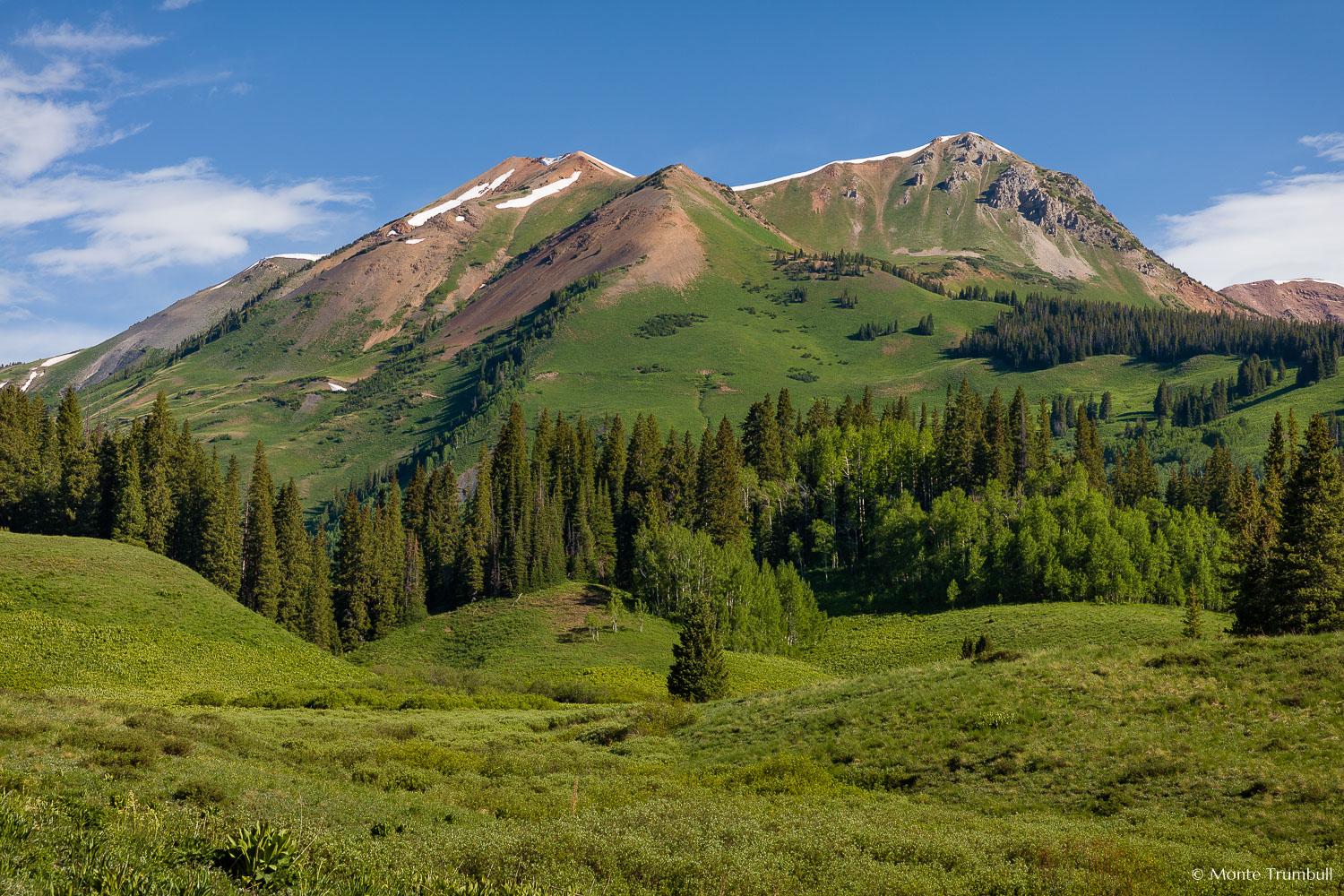 MT-20180615-085043-0062-Spring-Mount-Bellview-Morning.jpg