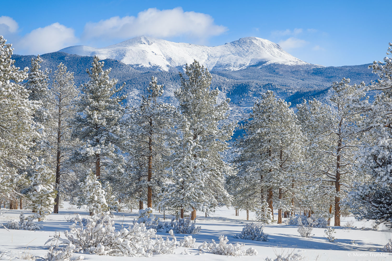 MT-20220224-094045-0005-Colorado-Winter-Snow-Buffalo-Peaks.jpg