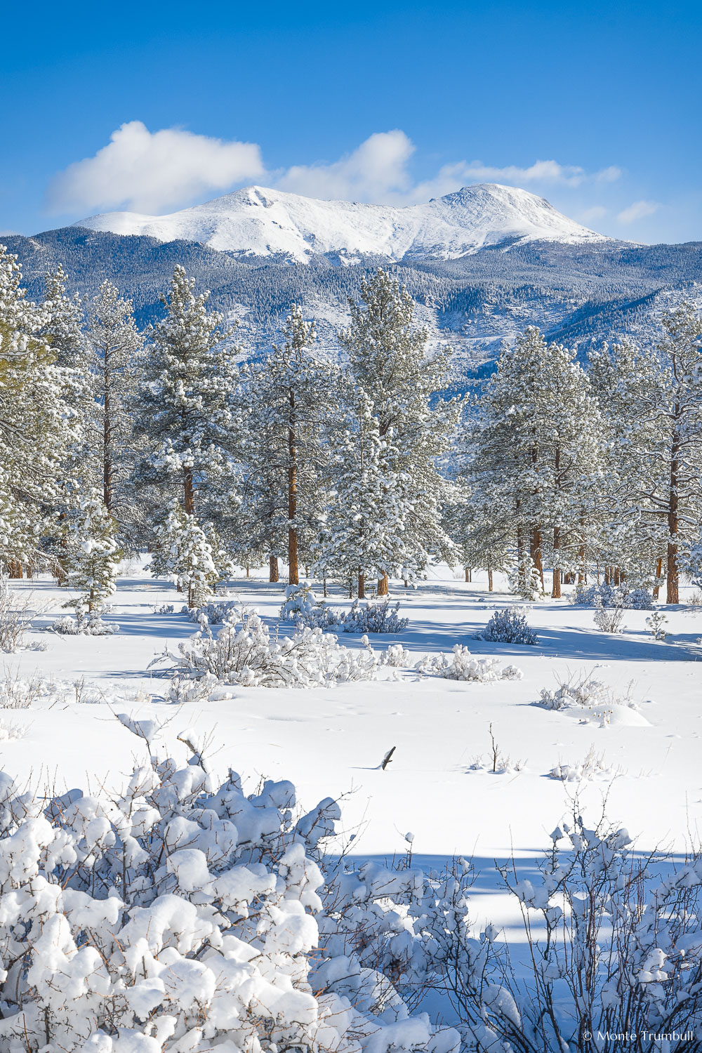 MT-20220224-094549-0006-Colorado-Winter-Snow-Buffalo-Peaks.jpg