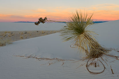 MT-20090107-171519-0011-New-Mexico-White-Sands-National-Monument-yucca-sunset-mountains.jpg