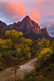 MT-20121109-182631-0001-Edit-Utah-Zion-National-Park-Watchman-sunset-pink-cloud.jpg
