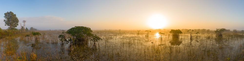 MT-20130224-071424-0064-pano10-panoramic-sunrise-fog-slough-everglades-national-park.jpg