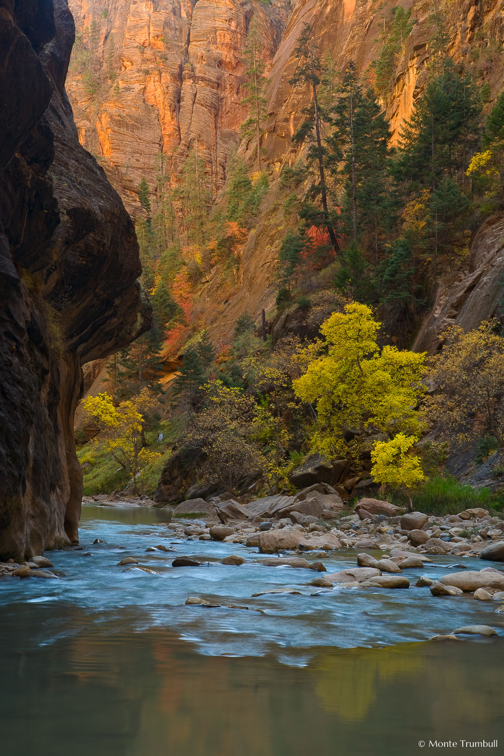 MT-20071104-124529-0016-Edit-Utah-Zion-National-Park-Narrows-fall-color.jpg