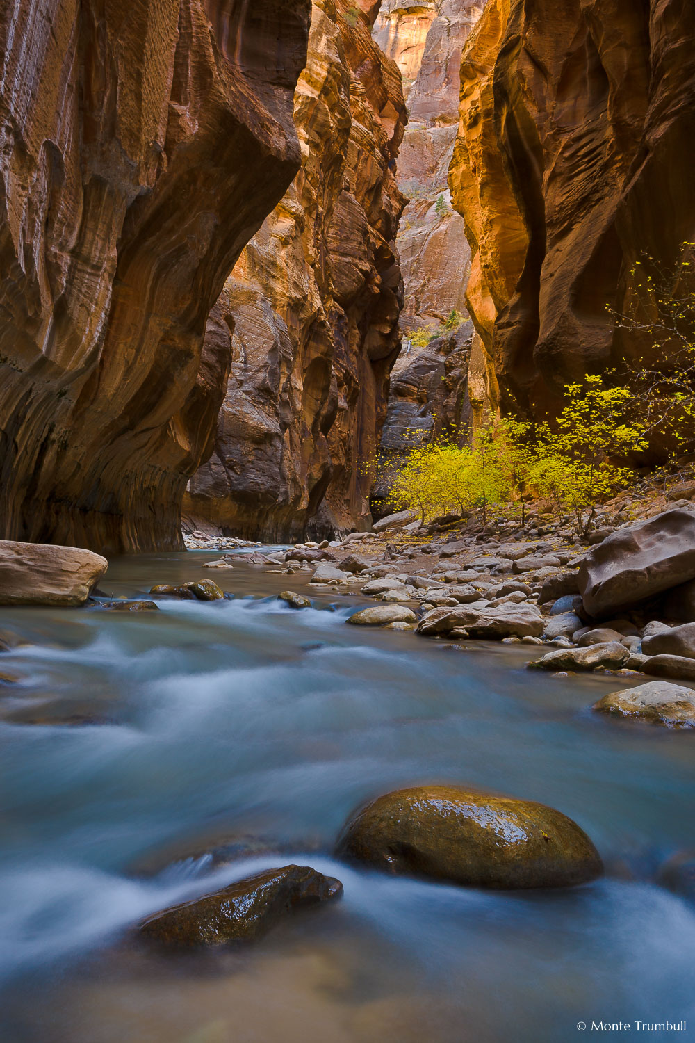 MT-20071104-130557-0020-Utah-Zion-National-Park-Narrows-fall-color.jpg